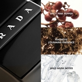 PRADA Black Luna Rossa