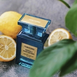 TOM FORD Neroli Portofino