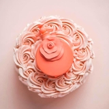 VALENTINO Valentina Blush