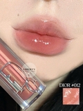 DIOR Addict Lip Maximizer - 012 Rosewood