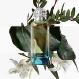 HERMES Un Jardin En Mediterranee
