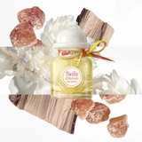 HERMES Twilly d’Hermes Eau Ginger