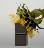 TAMBURINS Perfume Balm - Chamo