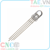 Led RGB 5MM A Chung
