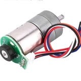 Động Cơ Giảm Tốc Kèm Encoder 6-12V 32-64 RPM 1:110