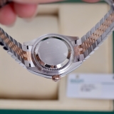 279171 Chocolate Diamonds Jubilee