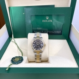 278243 Xám Cọc Kim Dây Đeo Oyster