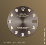 278243 Xám Cọc Kim Dây Đeo Oyster