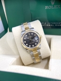 278243 Xám Cọc Kim Dây Đeo Oyster