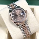 279171 Chocolate Diamond  Jubilee