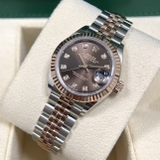 279171 Chocolate Diamond  Jubilee