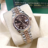 278271 Chocolate Diamond Jubilee