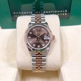 278271 Chocolate Diamond Jubilee