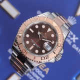 126621 Yacht chocolate  Lướt 2022