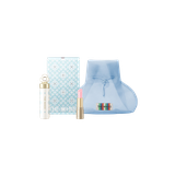 Bộ Son Dưỡng Môi Đông Y The Whoo Ess Lip Glow Balm 39 Mauve Brown Y25