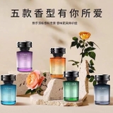 Nước hoa ô tô cao cấp VICTORIA dung tích 160ml 5 mùi hương thơm