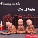 set 12 tượng ô su áo nâu 12 tư thế
