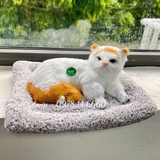 ( Loại đơn ) Thú Bông Than Hoạt Tính