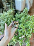 Quạt gió mickey+sáp thơm gắn của gió - tai mèo đính đá