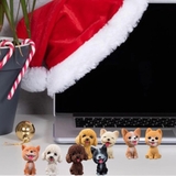 Chú Chó Poodle Thông Minh Lắc Đầu Trang Trí Taplo Ô Tô - Bàn Làm Việc - Bánh Sinh Nhật