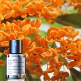 Nước hoa ô tô khuyếch tán tinh dầu tự động 160ml - MAIJUEKA