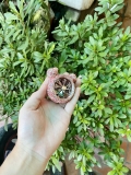 Quạt gió mickey+sáp thơm gắn của gió - tai mèo đính đá