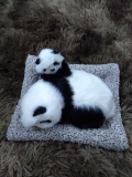 ( loại đôi ) Thú bông than hoạt tính trên ô tô 20x28cm