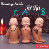set 12 tượng ô su áo nâu 12 tư thế