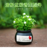 Chậu cây xanh trang trí taplo