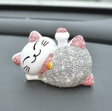 Chú mèo nằm đính đã vẫy tay