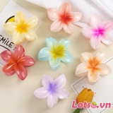 Phụ Kiện Kẹp Tóc Hoa Sứ Lưng Đầu Tóc Móng Vuốt Kẹp Phong Cách Hawaii - Size To