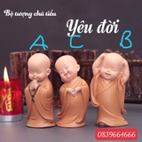 set 12 tượng ô su áo nâu 12 tư thế