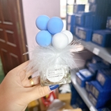 Bình bóng xốp cổ lông vũ