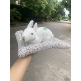 ( Loại đơn ) Thú Bông Than Hoạt Tính