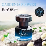 Nước hoa ô tô cao cấp chính hãng CHITTIAN - Napoleon dung tích 120ml