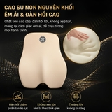 (Bán lẻ) Tựa đầu và tựa lưng ruột cao su non Sport fom mới 2023