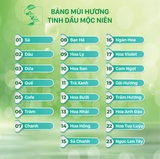 Tinh dầu lục giác Quốc Mộc treo xe ô tô