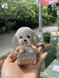 Chú chó đính đá thông minh lắc đầu ngồi hộp giấy Clever Dog