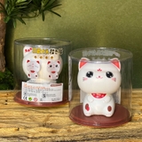 Chú mèo may mắn Lucky Cat gật gù đáng yêu