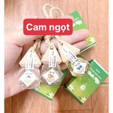 Tinh dầu lục giác Quốc Mộc treo xe ô tô