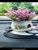 Chậu cây xanh trang trí taplo