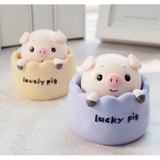 Chú heo lắc lư 4 màu