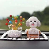 Set cún clever dog+ cây tài lộc NM+ thảm đá hạt to.