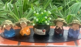 Set 4 chú tiểu đội nón rơm+ chậu cây đen+ thảm oval.