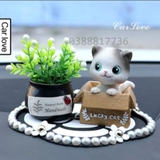 Set mèo ngồi hộp mở mắt+ chậu cây đen+ thảm NT hoa cúc