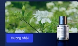 Nước hoa ô tô khuyếch tán tinh dầu tự động 160ml - MAIJUEKA