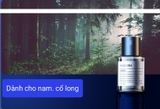 Nước hoa ô tô khuyếch tán tinh dầu tự động 160ml - MAIJUEKA