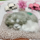 Thú bông than hoạt tính size mini 15x17cm