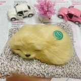 Thú bông than hoạt tính size mini 15x17cm