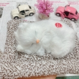 Thú bông than hoạt tính size mini 15x17cm